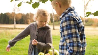 Epleplukk Filippa Og Magnus
