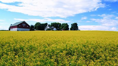Landskap03