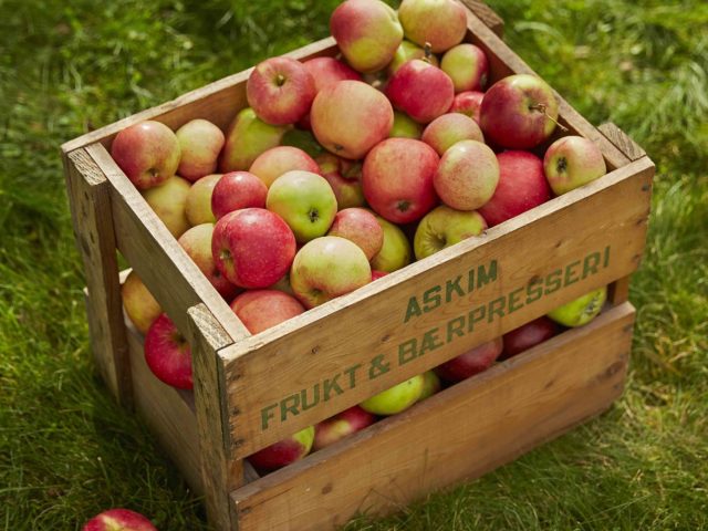 Gammel AFB eplekasse med epler