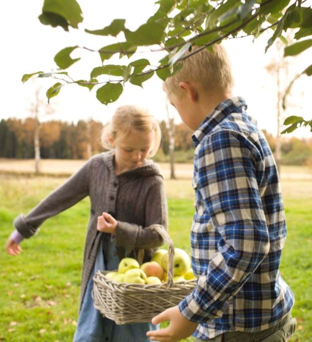 Epleplukk Filippa Og Magnus