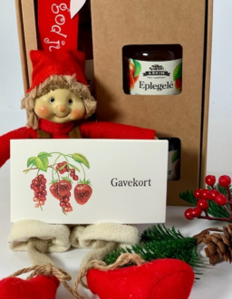 Gavekort i studio