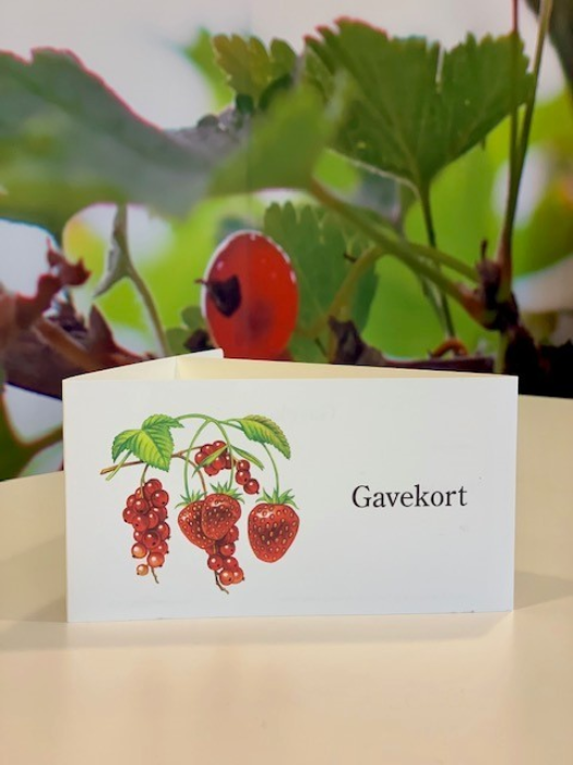 Gavekort mot Ripsvegg